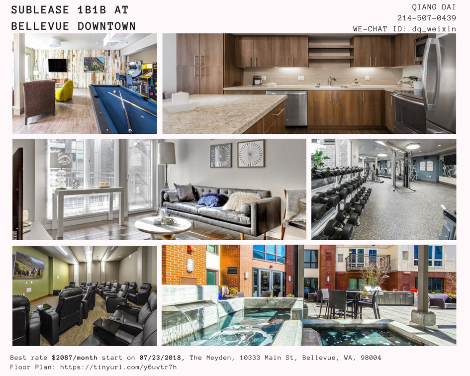 Sublease 1b1b at the meyden bellevue downtown  .jpg