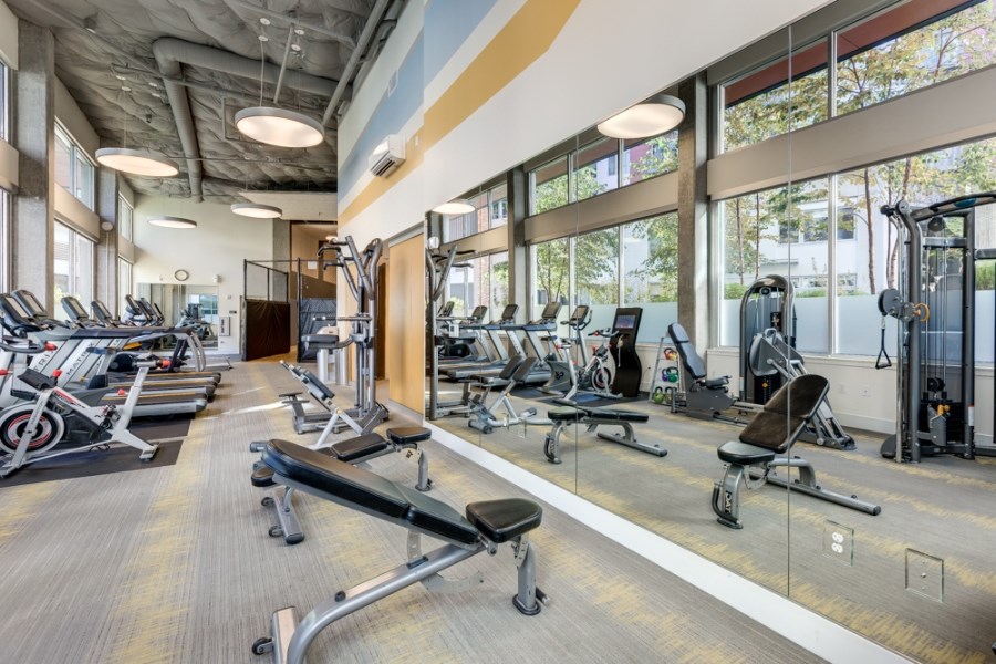 Gym.jpg