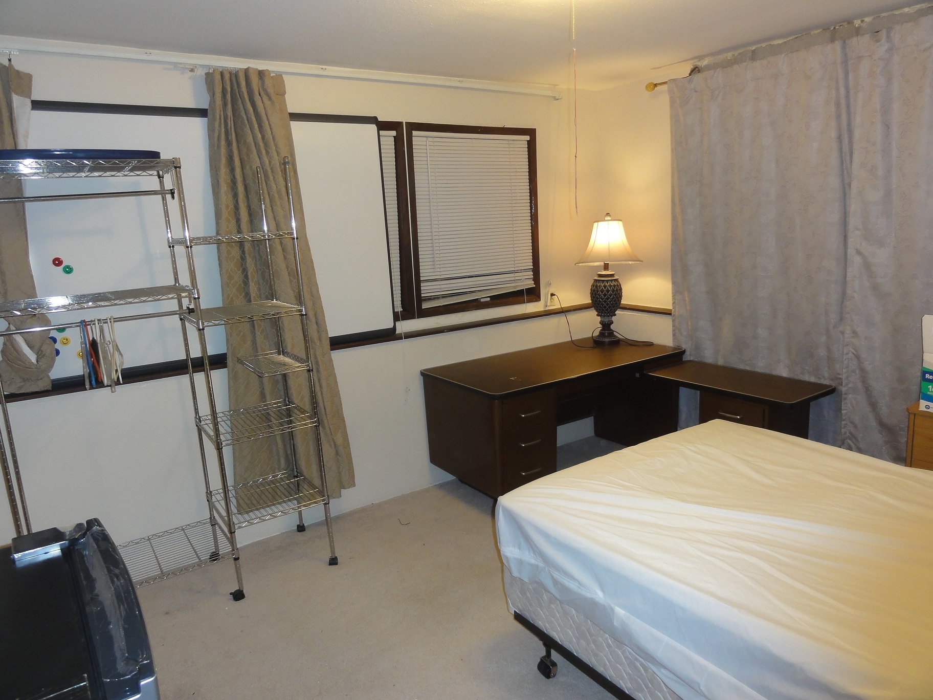 Large1 Compressed.JPG