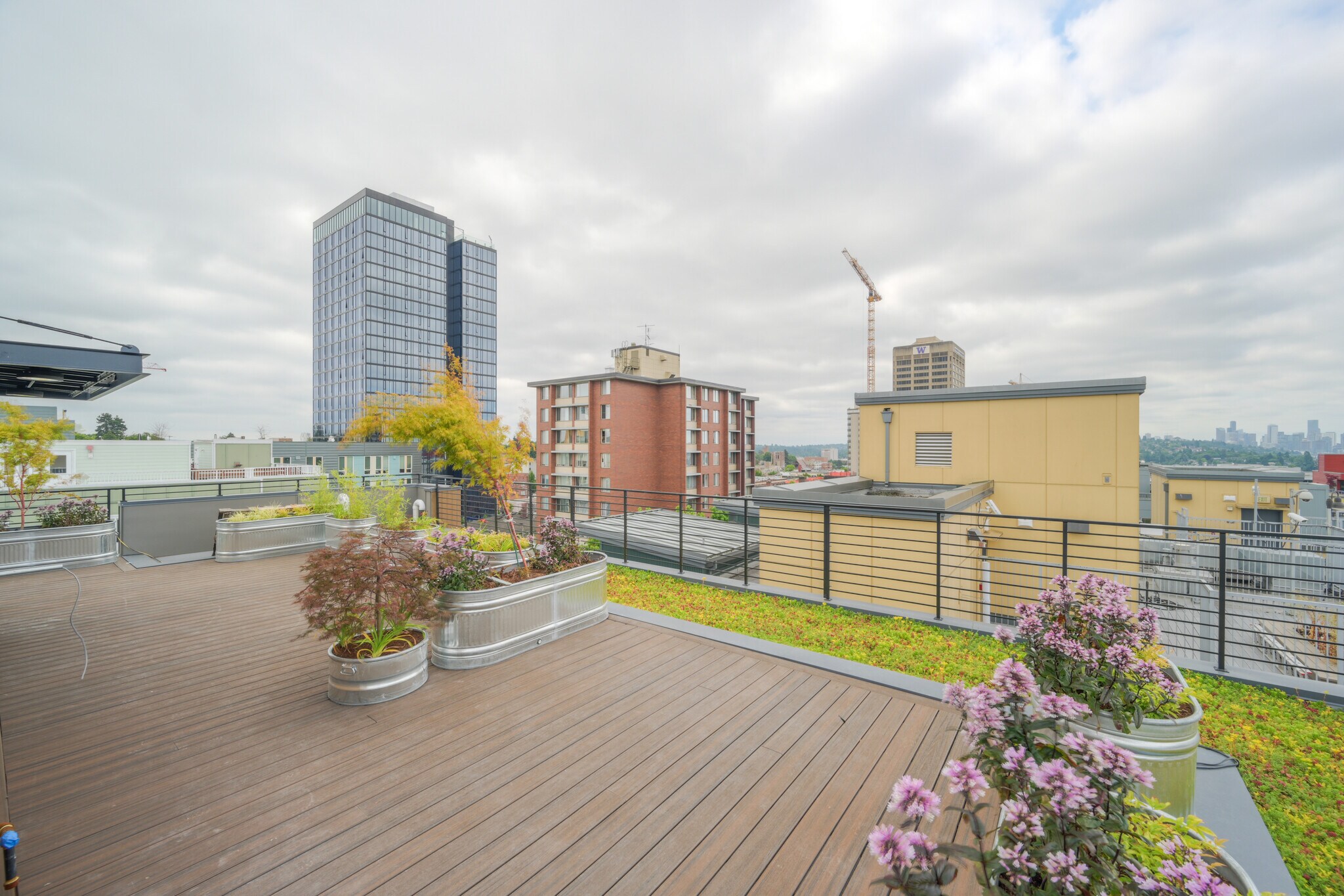 montclair-apartments-seattle-wa-roofdeck.jpg